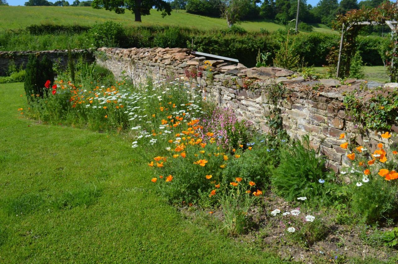 Le Pont De La Pierre Vintage B&B Saint-Clair-sur-l'Elle Екстериор снимка